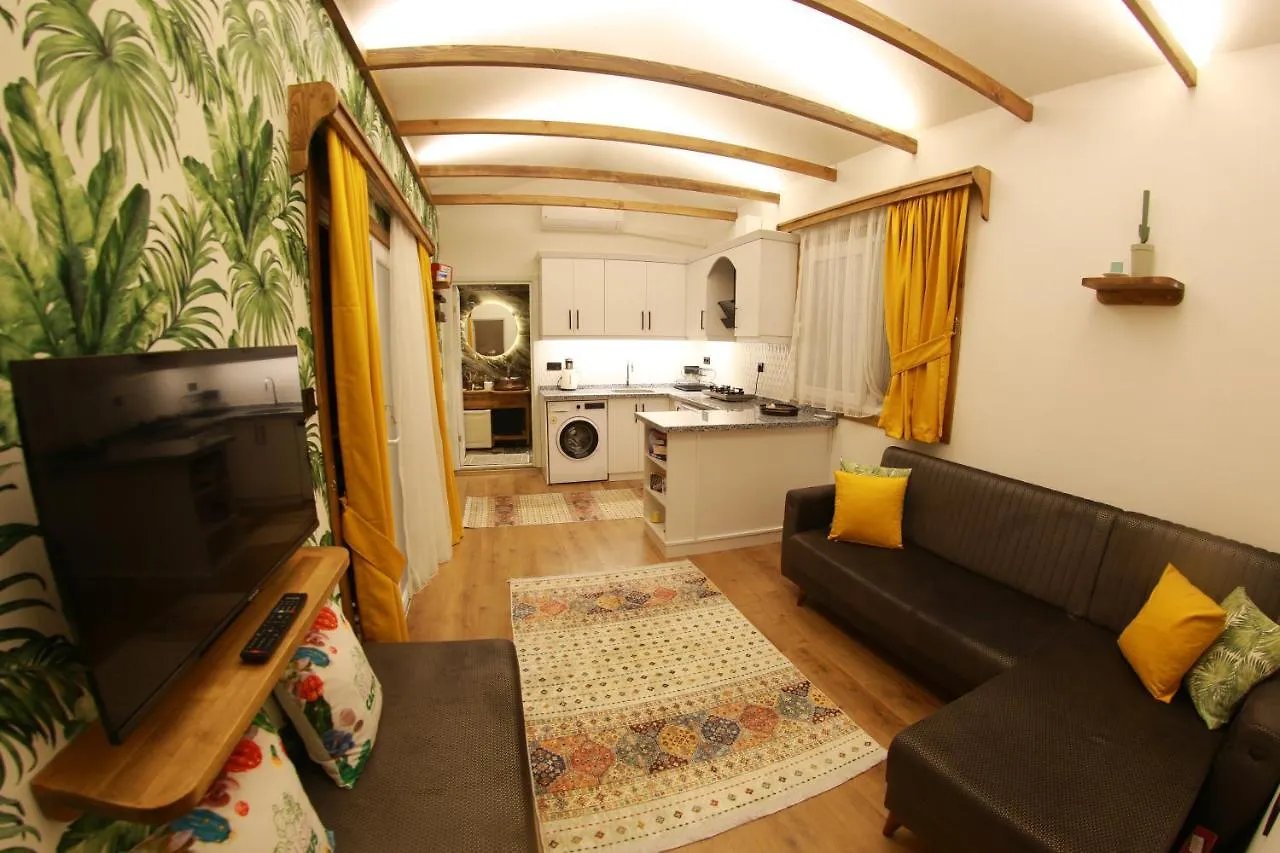 Tiny House Cactus Soeguet Villa Marmaris Vakantiehuis