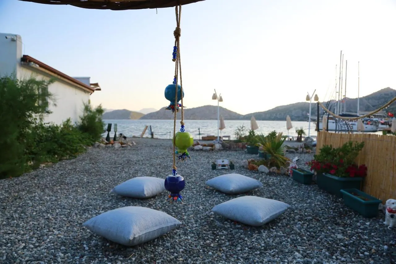 Tiny House Cactus Soeguet Villa Marmaris