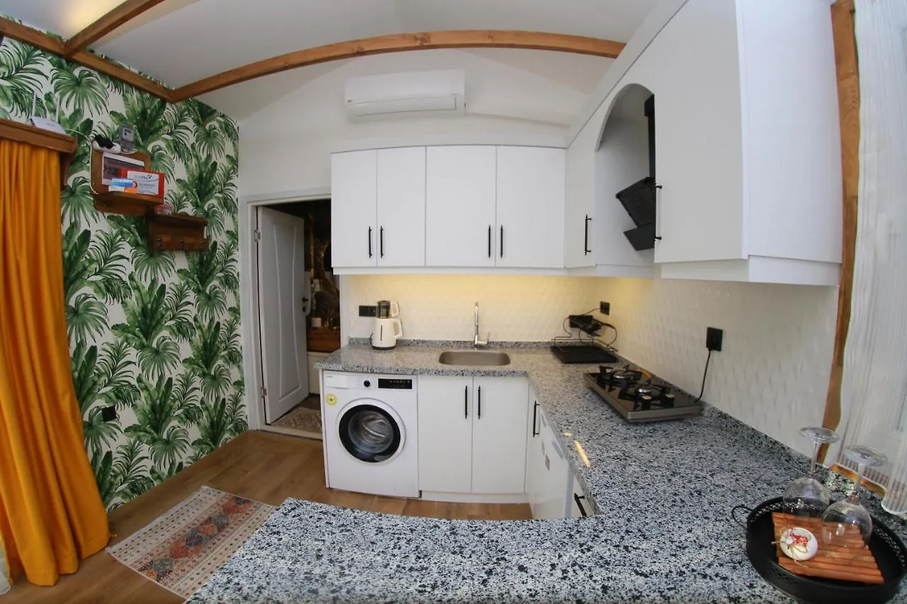 Vakantiehuis Tiny House Cactus Soeguet Villa Marmaris