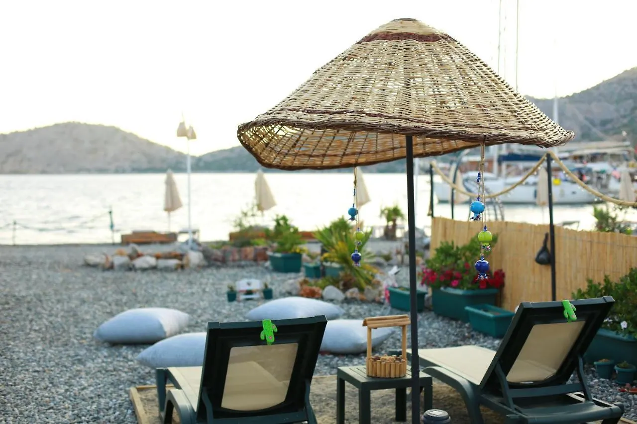 Tiny House Cactus Soeguet Villa Marmaris Vakantiehuis